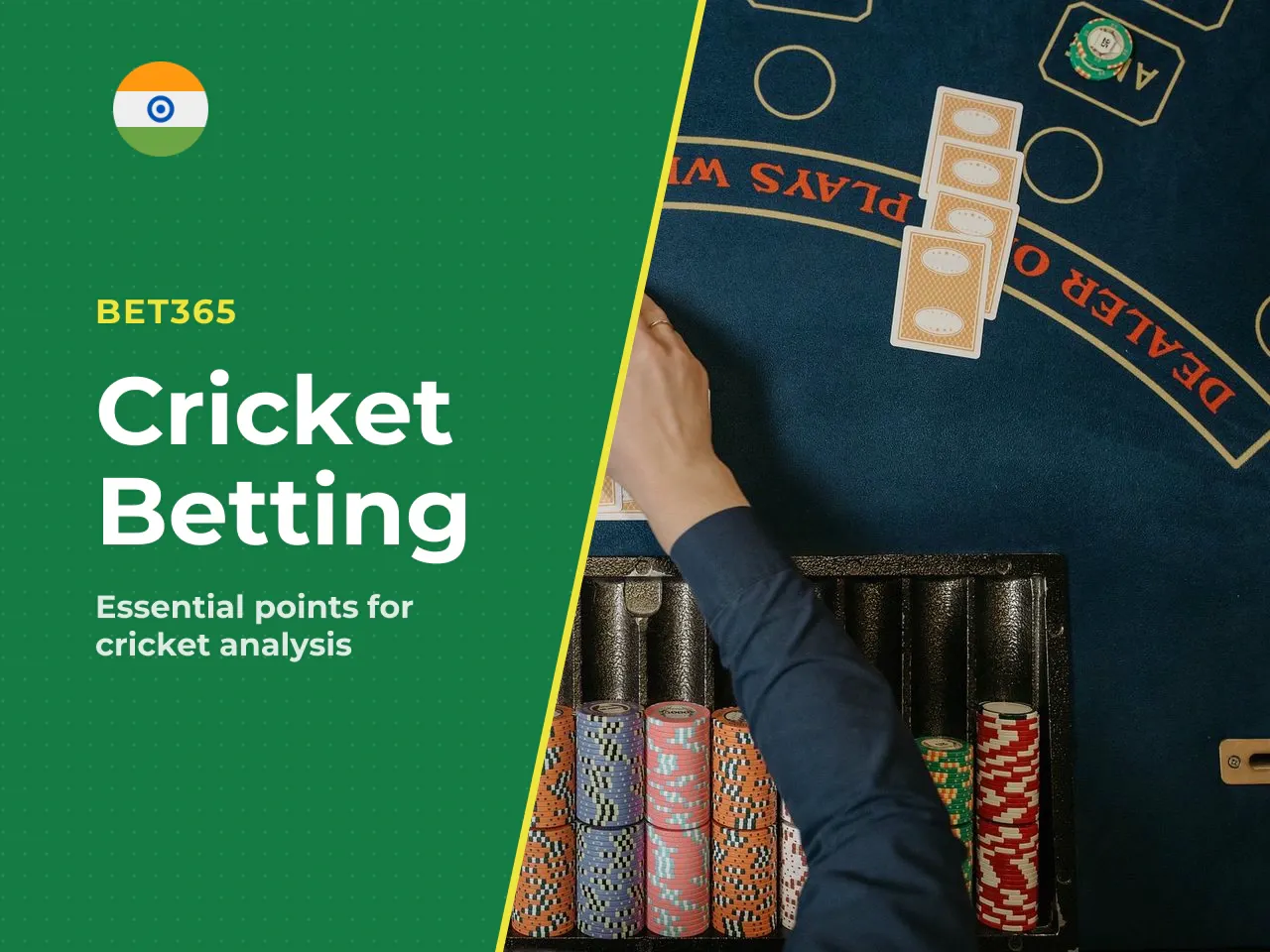 What to Compare Before Placing Cricket