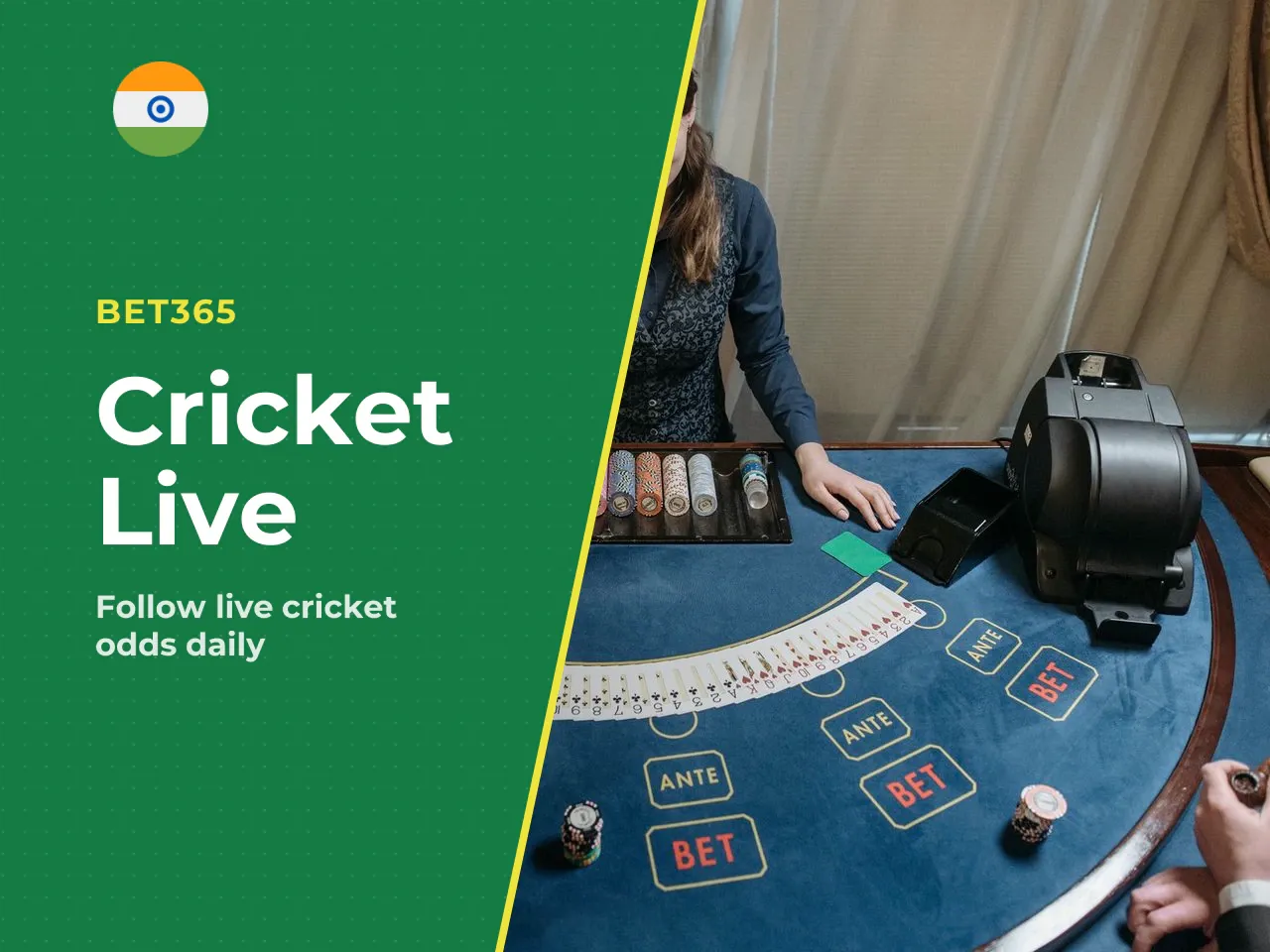 bet365 Cricket Live Betting and Live