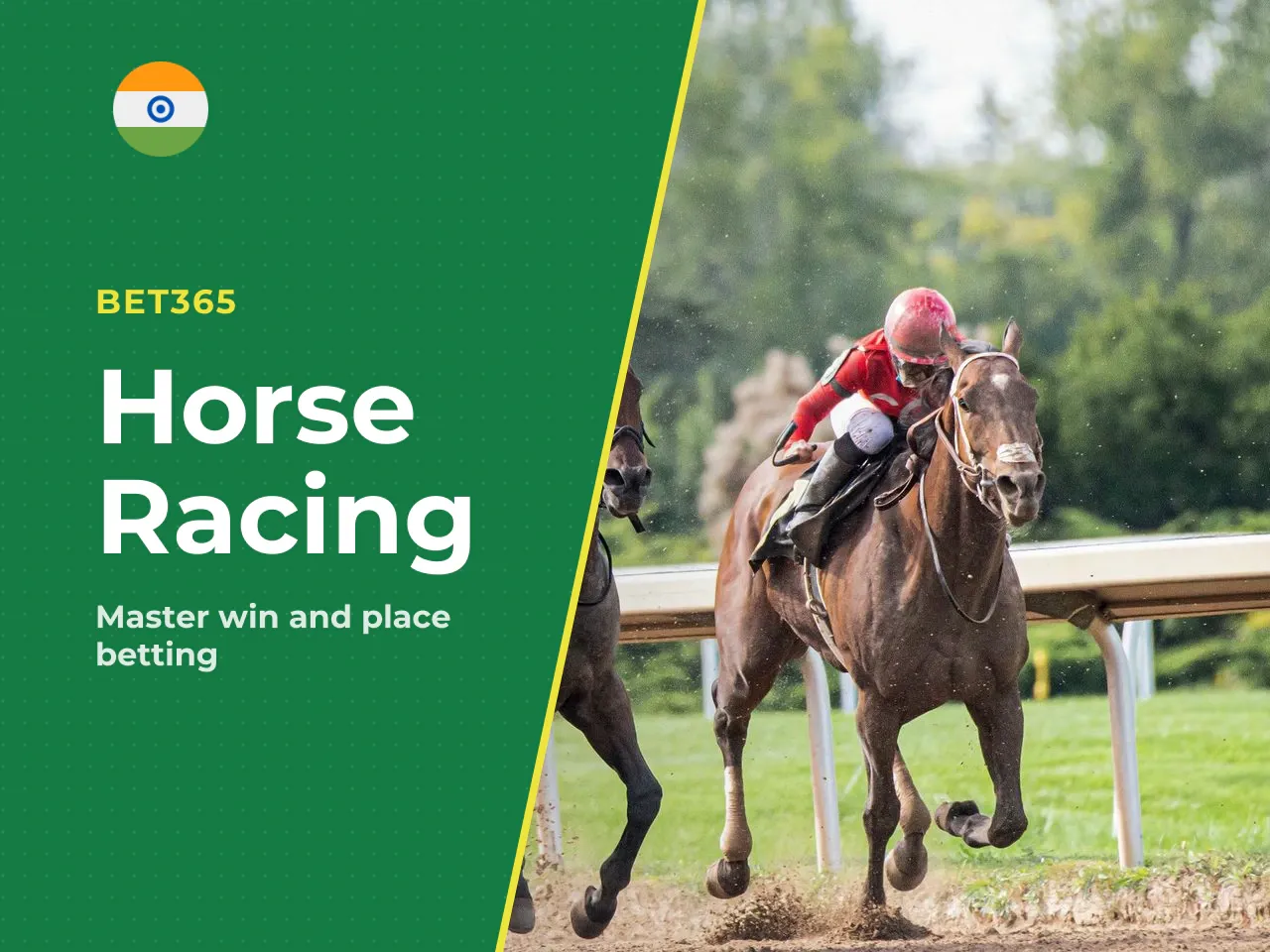 Win, place and straightforward horse bets