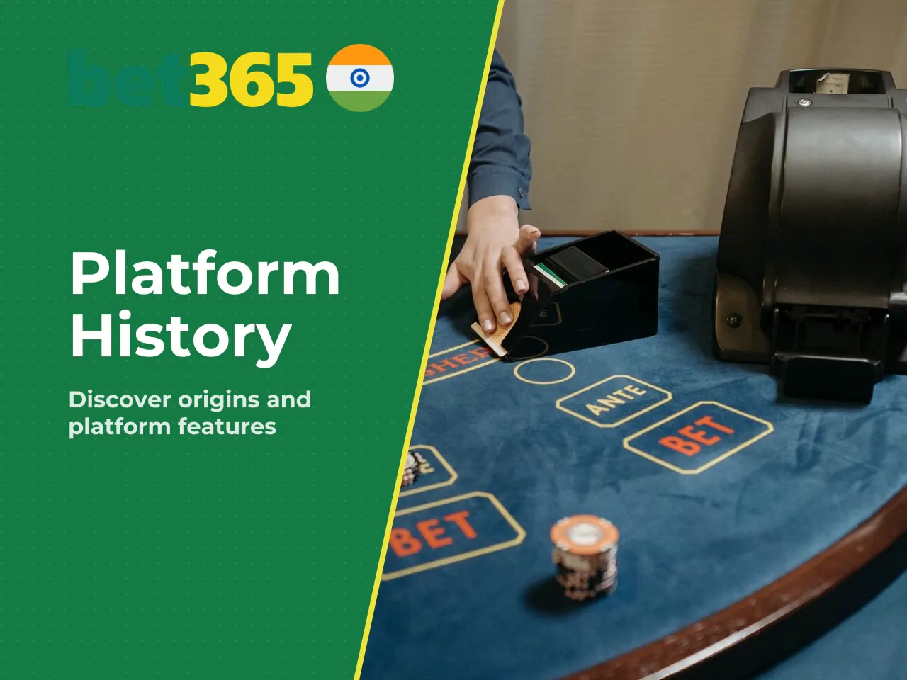 What Is Bet365 and What Do